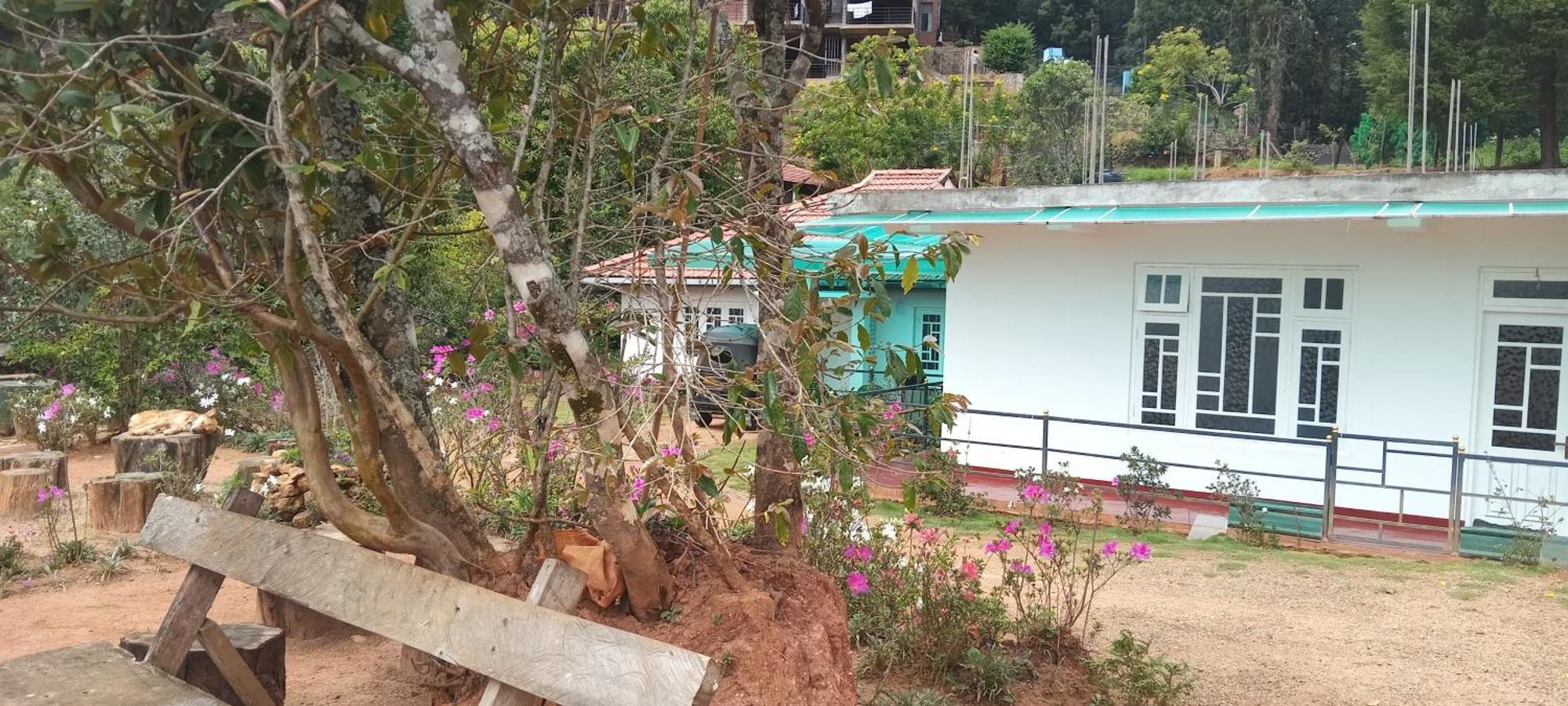 Forest Cyniciam Homestay أوهيا المظهر الخارجي الصورة