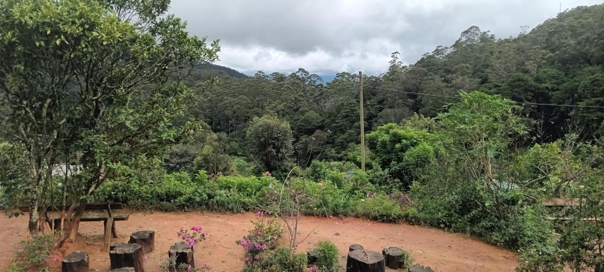 Forest Cyniciam Homestay أوهيا الغرفة الصورة
