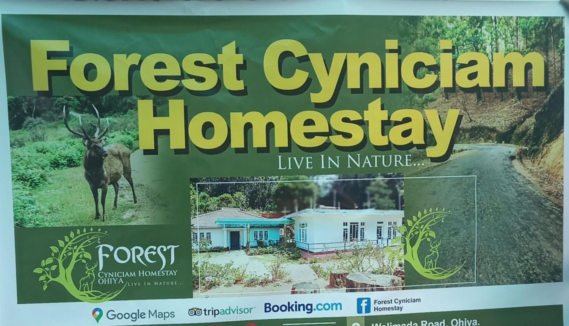 Forest Cyniciam Homestay أوهيا المظهر الخارجي الصورة