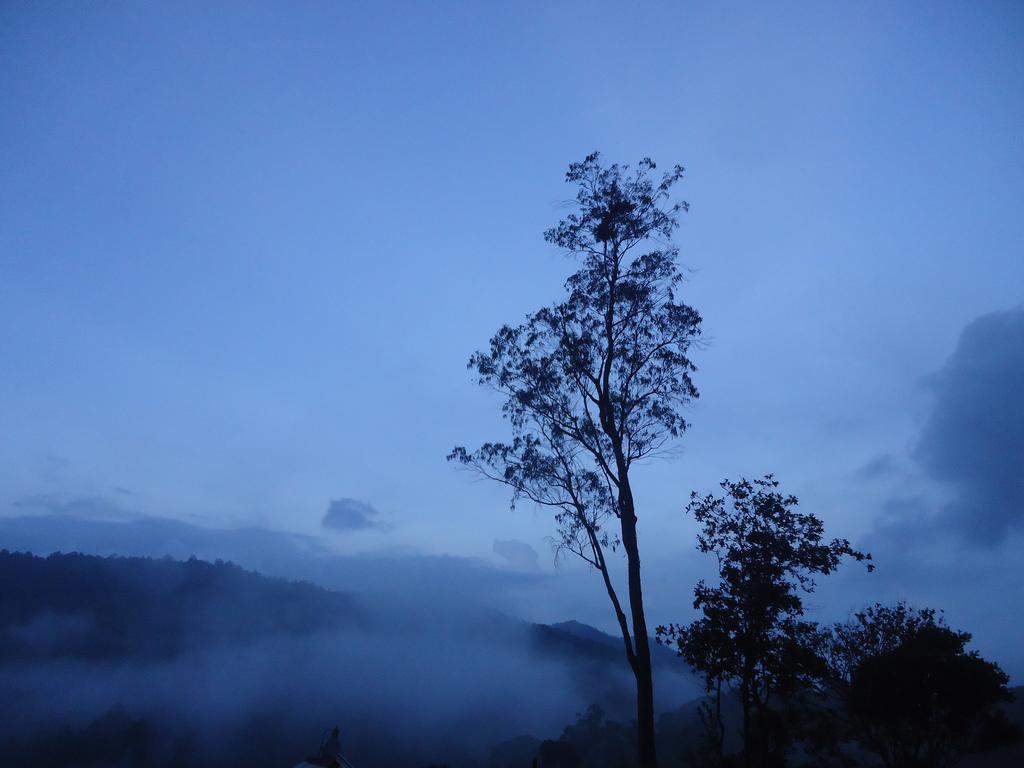 Forest Cyniciam Homestay أوهيا المظهر الخارجي الصورة