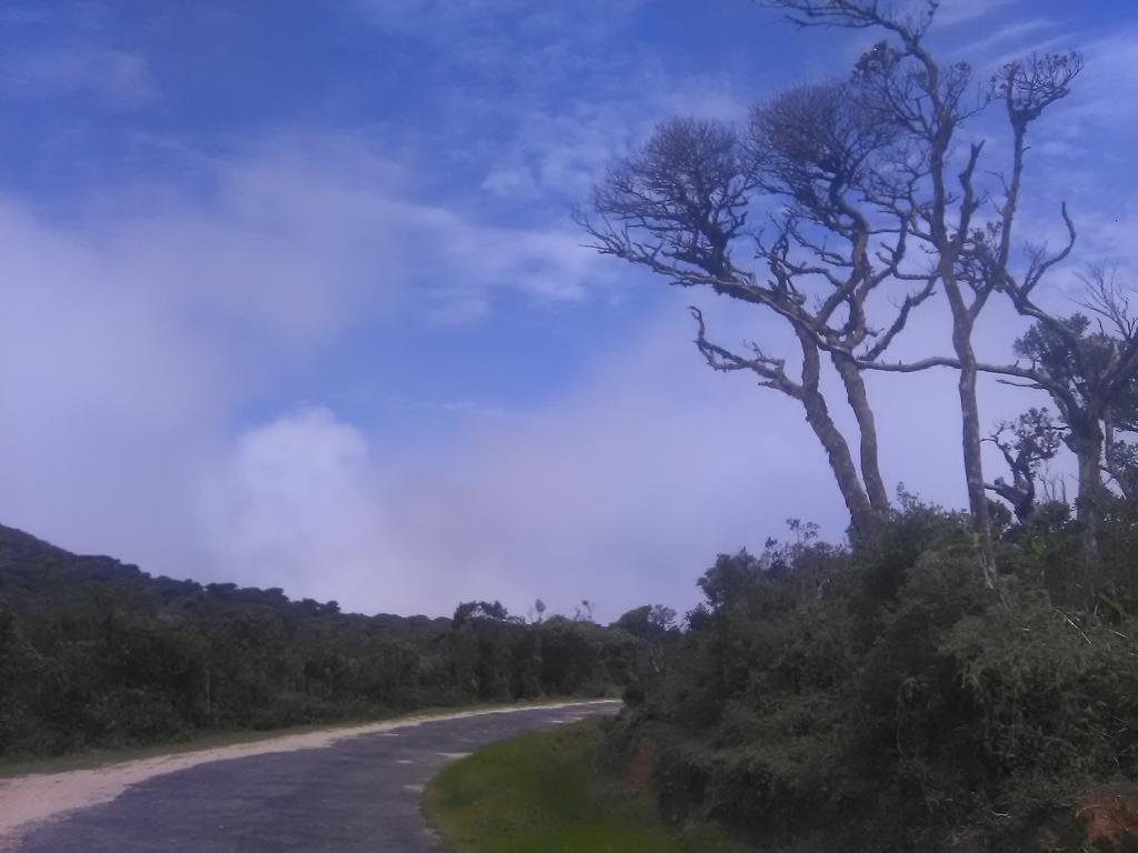 Forest Cyniciam Homestay أوهيا المظهر الخارجي الصورة