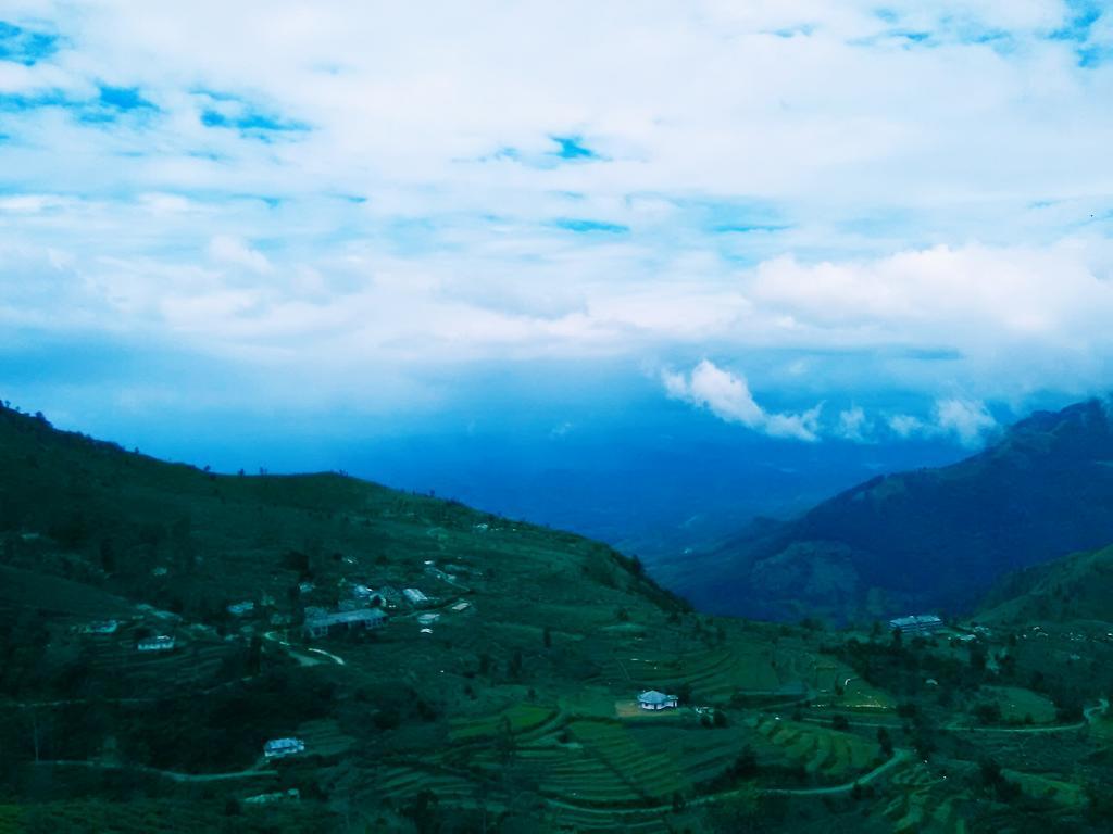 Forest Cyniciam Homestay أوهيا المظهر الخارجي الصورة