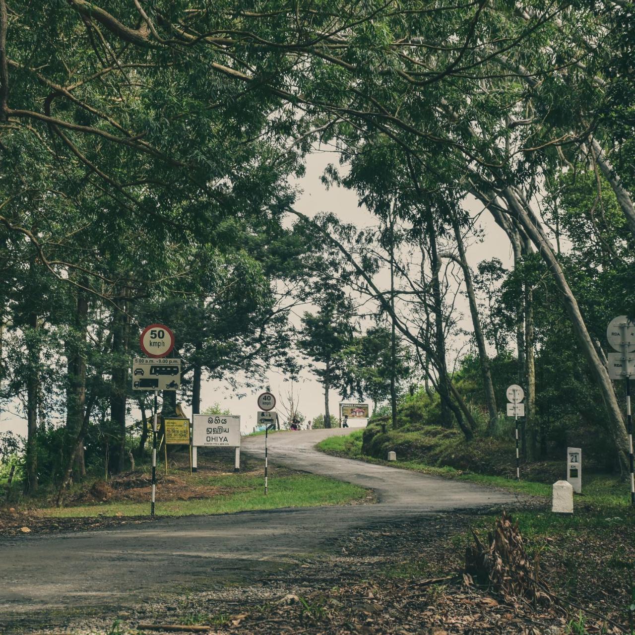 Forest Cyniciam Homestay أوهيا المظهر الخارجي الصورة