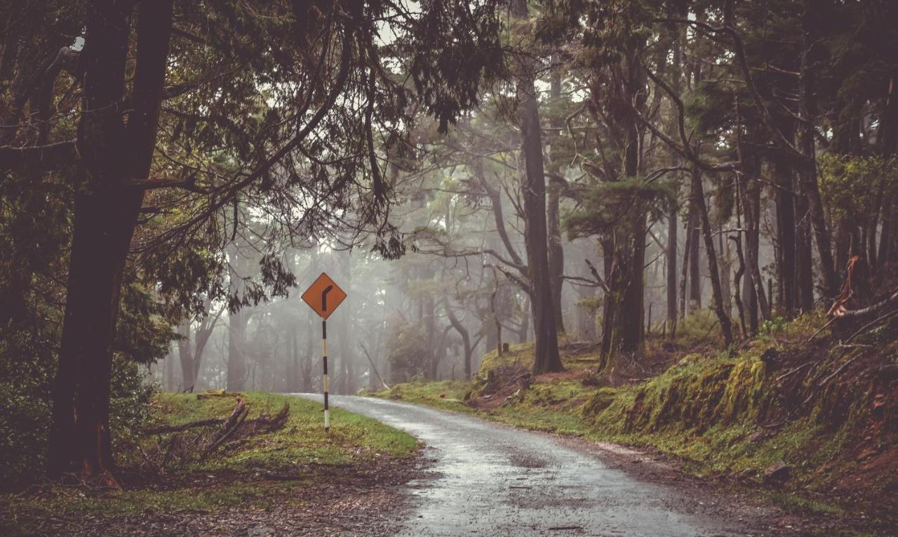 Forest Cyniciam Homestay أوهيا المظهر الخارجي الصورة