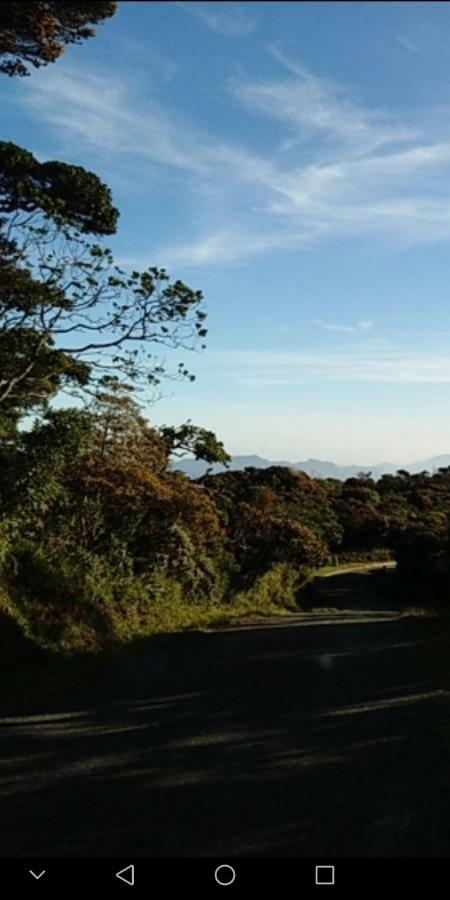 Forest Cyniciam Homestay أوهيا المظهر الخارجي الصورة