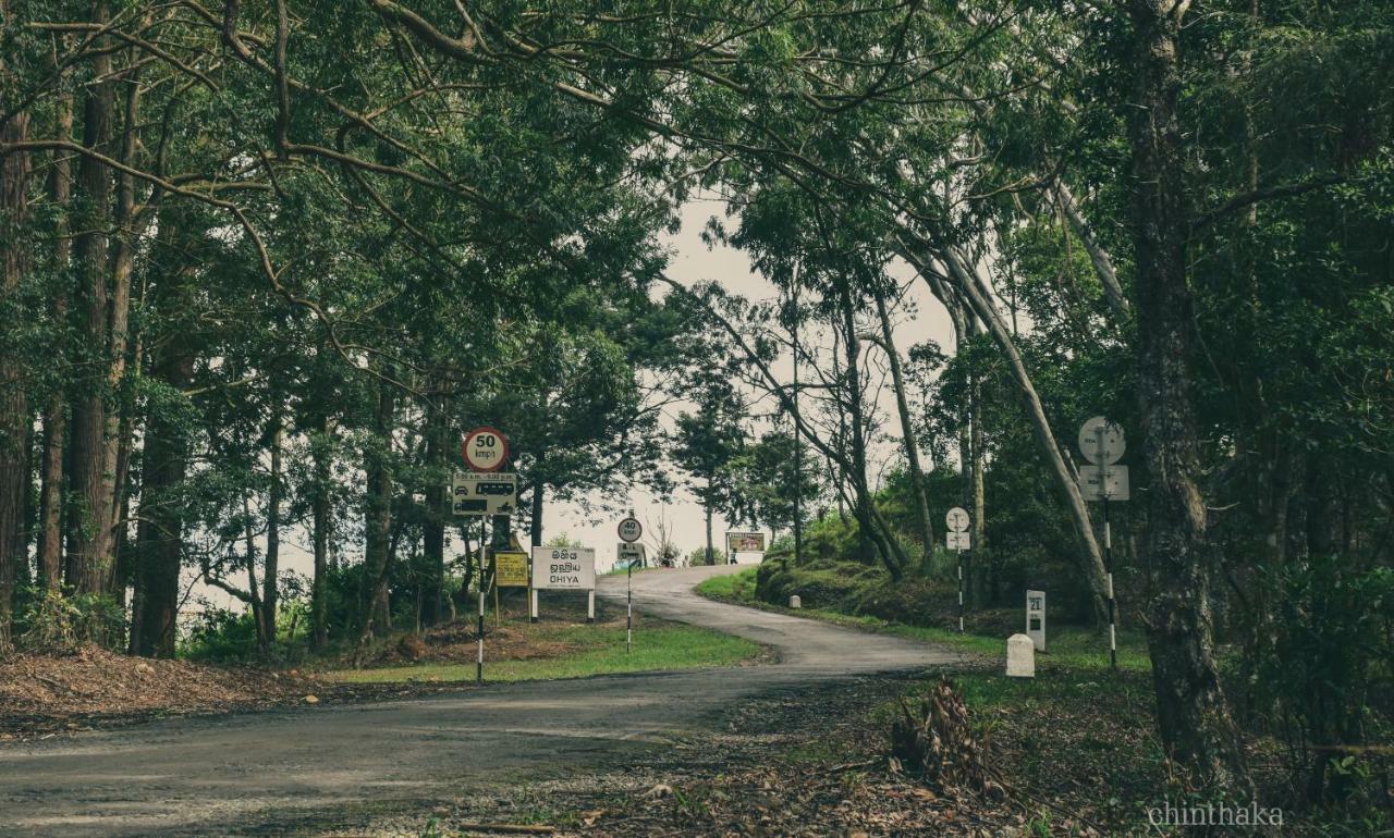Forest Cyniciam Homestay أوهيا المظهر الخارجي الصورة