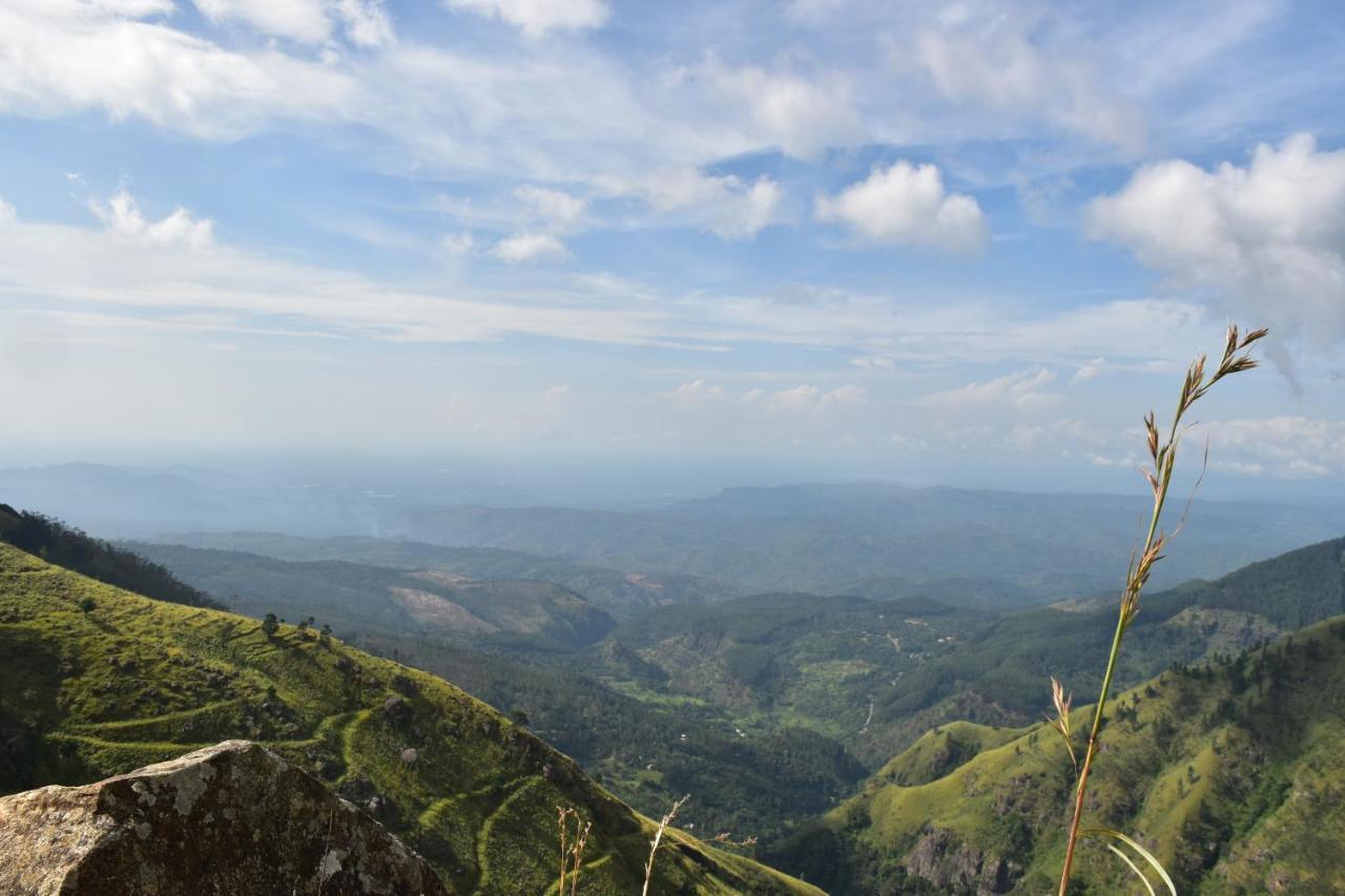 Forest Cyniciam Homestay أوهيا المظهر الخارجي الصورة